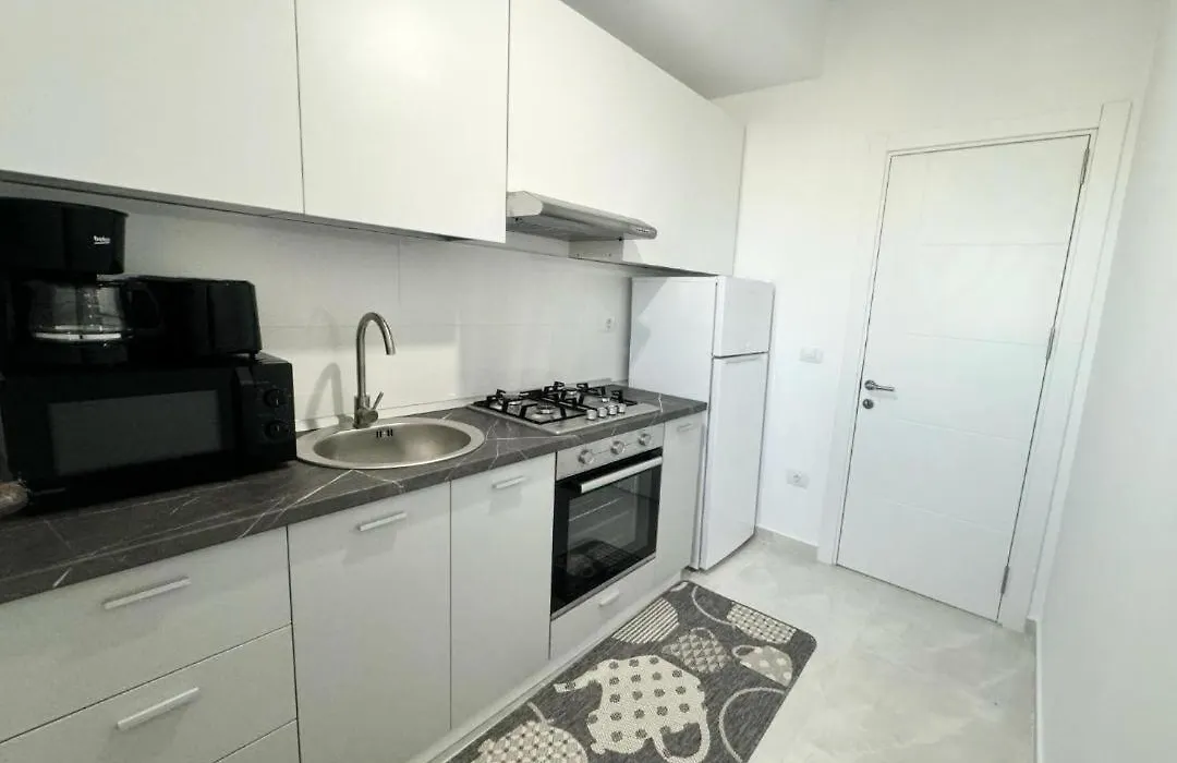 C&Y Solid Residence-1