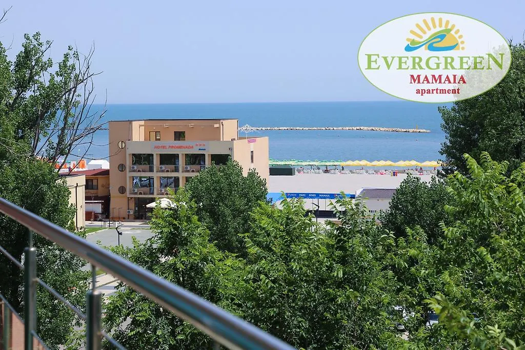 Evergreen Vlas Mamaia Sud-1