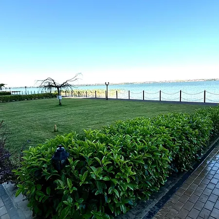 Viva Residence Solid House-2