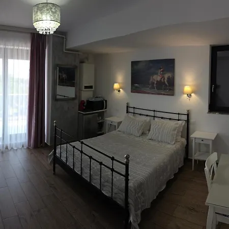 Bluemarina Apartamente-2