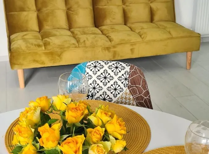 Studio Ayan Mamaia