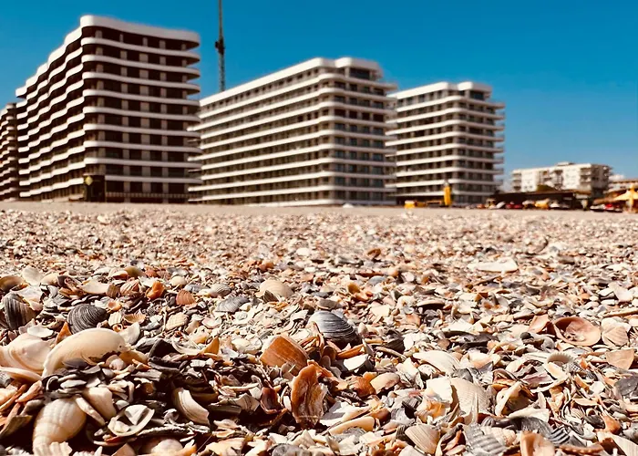 Blue Luxury Studio Mamaia
