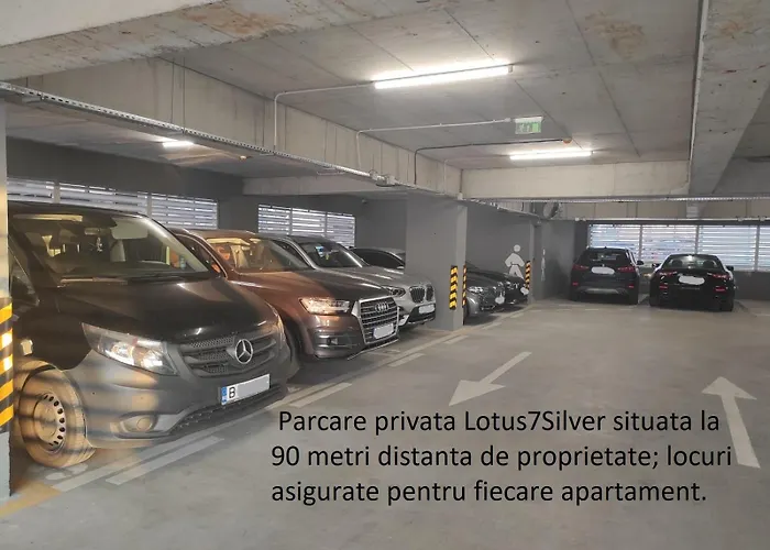 Lotus 7 Silver Mamaia