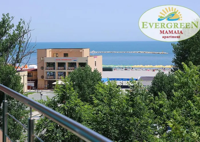 Evergreen Vlas Mamaia Sud