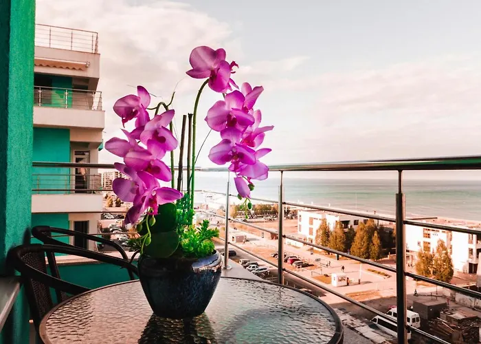 Orchid Apartment Summerland Free Parking Mamaia